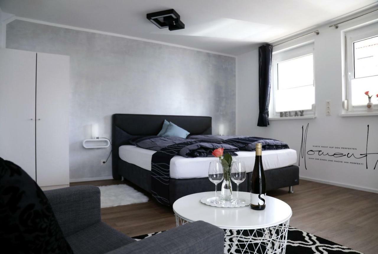 Siesta Landapartment 恩茨河畔法伊欣根 外观 照片